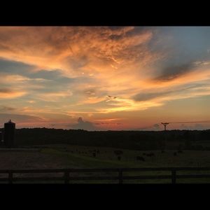 Meet your Posher, Nick